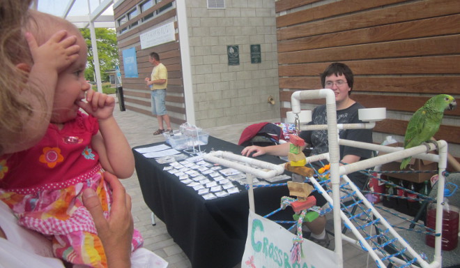  photo bird_zps2b928a9b.jpg