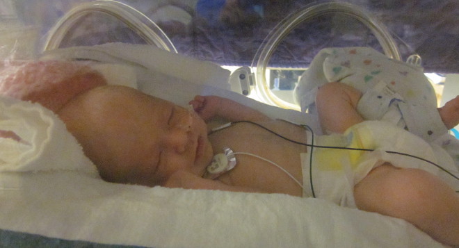  photo isolette_zps839b331d.jpg