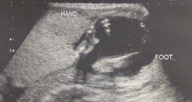  photo IMG_8453_zps2a68db75.jpg