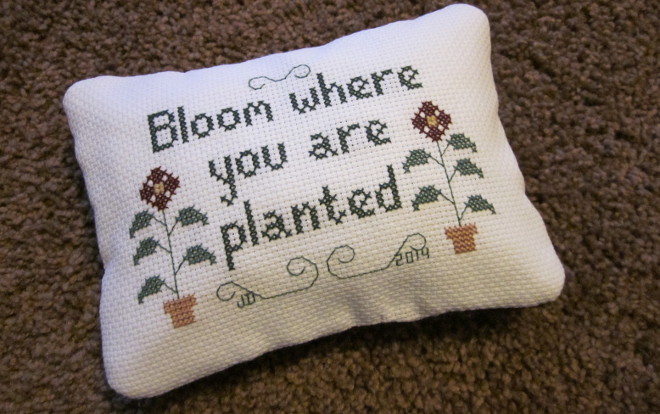  photo IMG_8479_zpse4d1080b.jpg