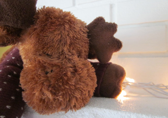  photo IMG_8494_zpsc6467c49.jpg