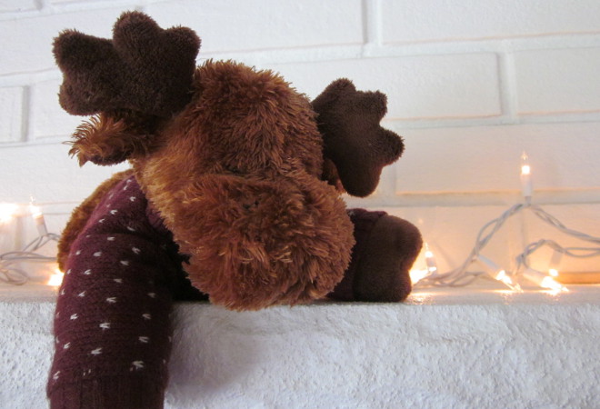  photo IMG_8495_zps3d745aff.jpg