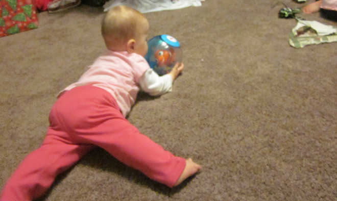  photo IMG_8499_zps83440afc.jpg