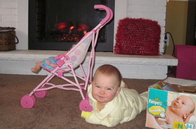  photo IMG_8522_zps2815ecd1.jpg