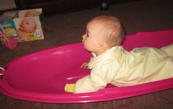  photo IMG_8534_zps94fea85c.jpg