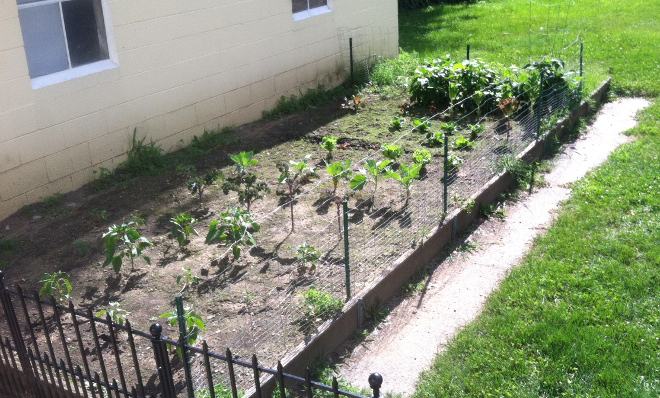  photo garden_zpswnyjch1z.jpg