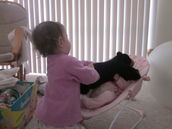  photo bearattack_zpscc584704.jpg