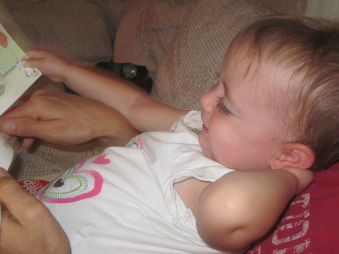  photo closeup_zpsff0e6f8e.jpg